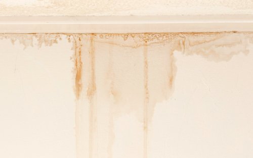 Nem Alma Cihazı TTK 100